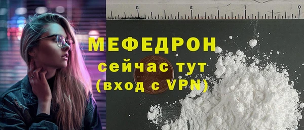 spice Инта