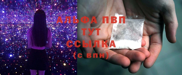 гидра Щигры